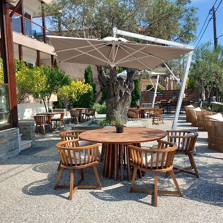 Ayia Marina Suites Ouranoupoli Bagian luar foto