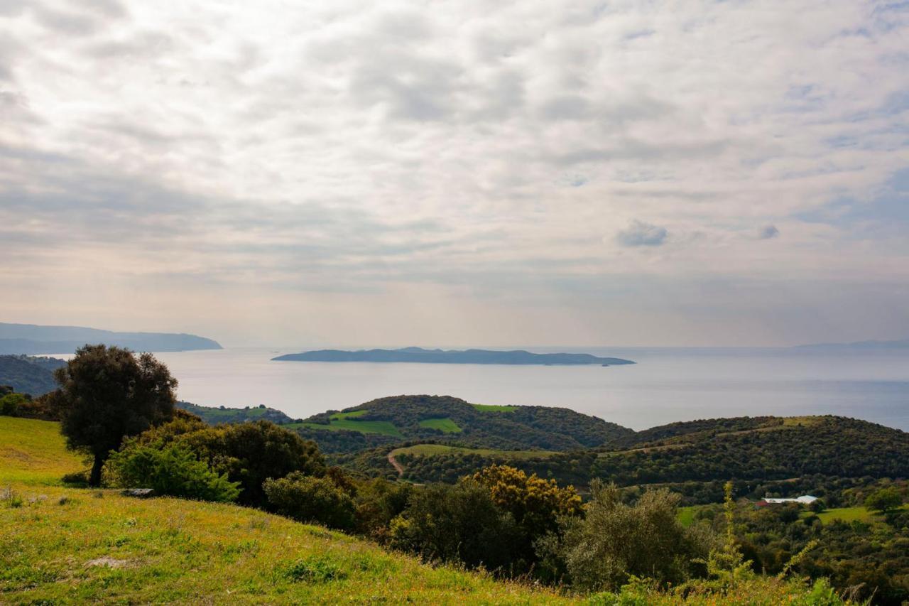 Ayia Marina Suites Ouranoupoli Bagian luar foto